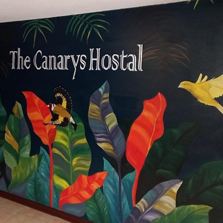 The Canarys Hostal Санта-Роса-де-Кабаль Экстерьер фото